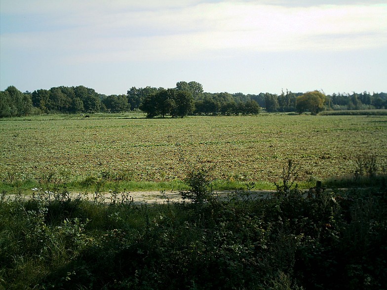 File:Further Agriculture in Hatten.JPG