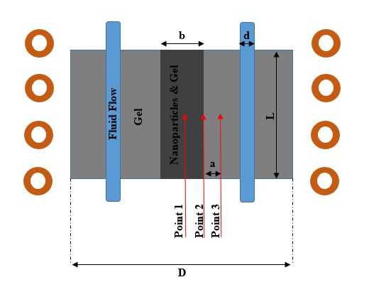 File:Magnetic Fluid Hyperthermia Simulation.jpg