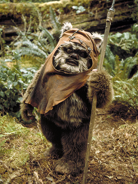 File:Wicket W Warrick.png