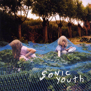 File:Sonic youth-murray street.png