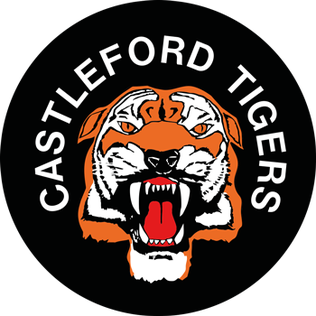 File:CastlefordTigersLogo.png