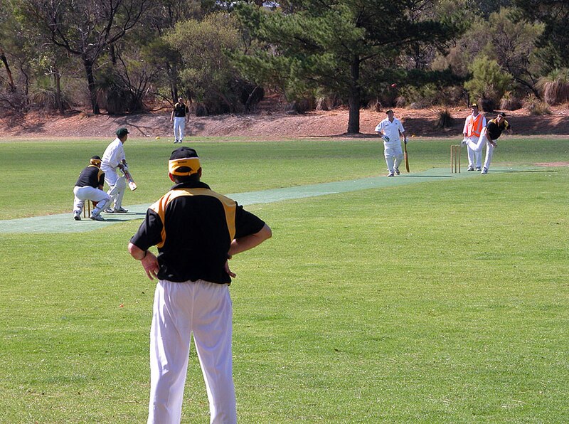 File:Darlington cricket 0008 wiki.jpg