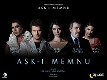 Aşk-ı Memnu (TV series).jpg