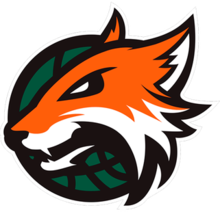 Plymouth Raiders logo