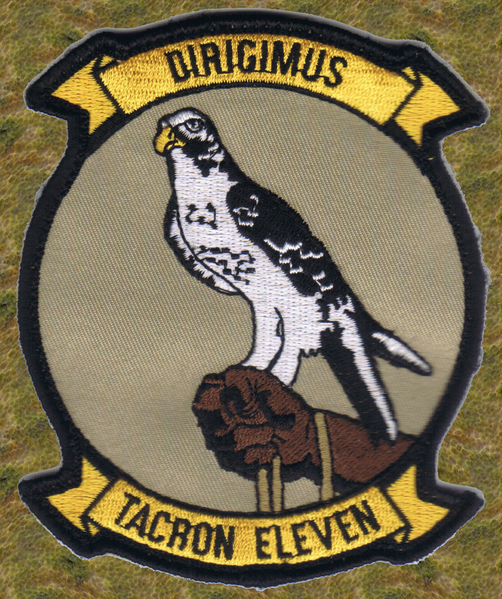 File:TACRON Eleven patch.png