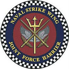 Naval Strike Wing.jpg