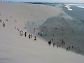 Dune by the sea in Jericoacoara.