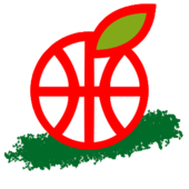 Hapoel Gilboa Galil logo