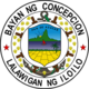 Official seal of Concepcion