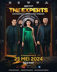 The Experts poster.jpg