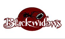 WSFLBlackWidows.PNG