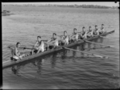 Hale School Rowing Team 1938