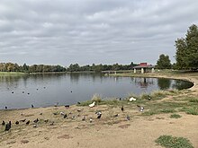 Lake Balboa Pond 2023.jpg