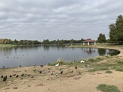 Lake Balboa, the namesake of the Lake Balboa neighborhood