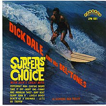 Surfer's Choice.jpg