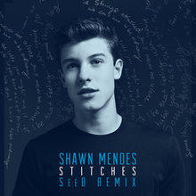 Shawn Mendes - Stitches.png