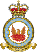 Squadron badge