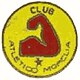 Second badge 1973–1982