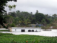 Moneague lake flood.jpg