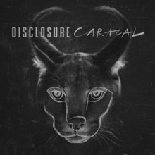 Disclosure - Caracal.png