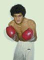 Salvador Sanchez