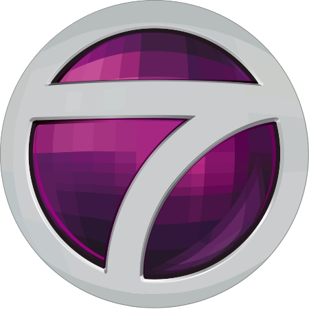 File:Logo of NTV7.svg