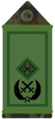 Irish Army major general