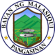 Official seal of Malasiqui