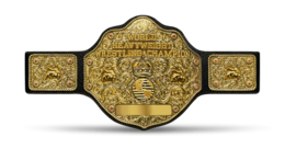 A professional wrestling championship belt with a roughly circular golden front plate