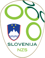 Shirt badge/Association crest