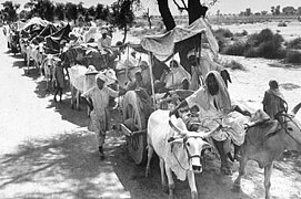 Rural Sikhs in a long ox-cart train headed towards India. 1947. Margaret Bourke-White.