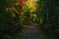 Old Railway Bike Trail in October