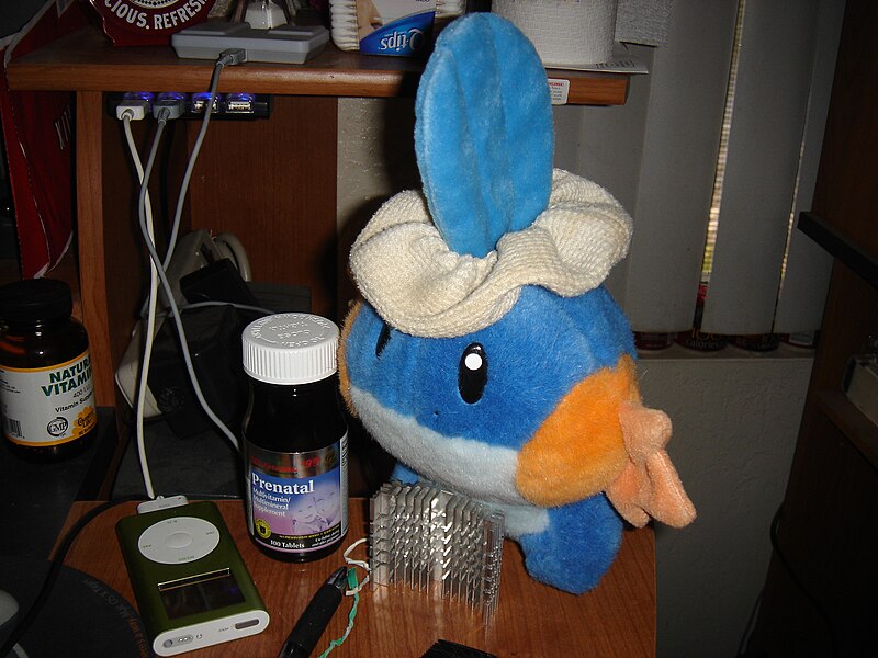 File:Mudkip-with-scrunchie.jpg