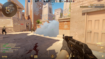 Screenshot from Counter-Strike 2, demonstrating gameplay from the Terrorist side on the map Anubis. The player in the image is holding an AK-47 assault rifle.