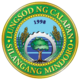 Official seal of Calapan