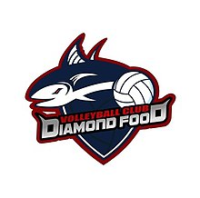 Diamond food vc logo.jpg