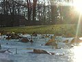 Frozen water in a ditch in Ohio.