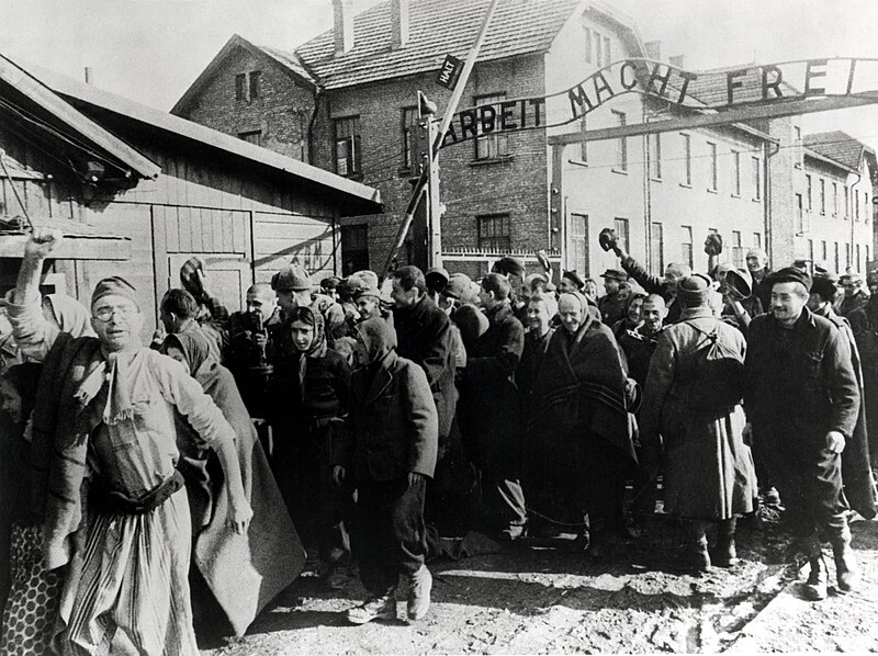 File:Auschwitz Liberation 1945.jpg