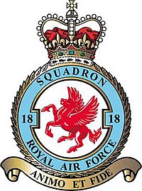 18 Squadron badge