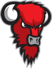 Bisons Loimaa logo