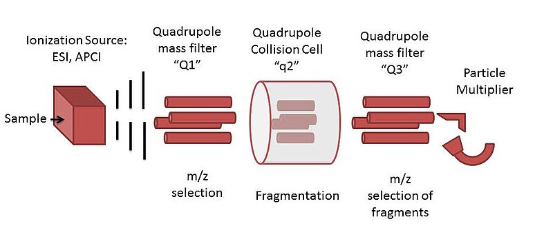 File:Triple quadrupole schematic.jpeg