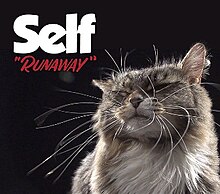 The official cover artwork for "Runaway".