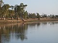 Sandy Billabong, near Yungngora community, with many pairs of eyes watching