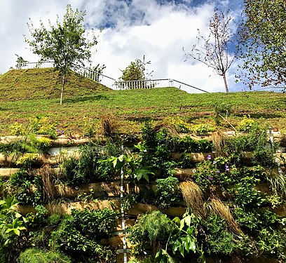 The Mound was covered with living plants, with a variable level of success.