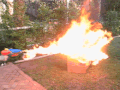 In recognition of an apparent lack of Vandal fighting Barnstars, I , Evilphoenix, hereby award Deathphoenix (no relation) this Flamethrower of Vandal Doom (+3 vs. Troll), for use in Vandal Whacking cleanup tasks. Ëvilphoenix Burn! 06:20, 13 April 2006 (UTC)