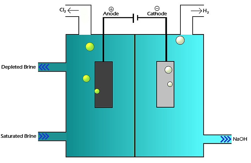 File:Membrane cell.jpg