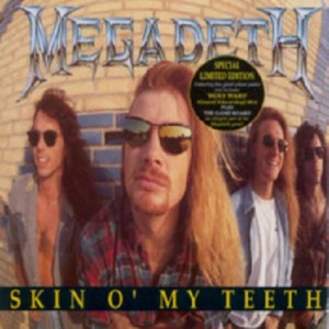 Файл:Megadeth - Skin.jpg