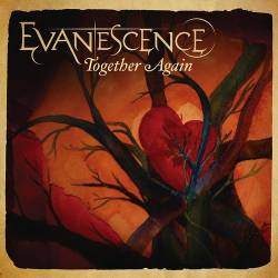 Обложка сингла Evanescence «Together Again» (2010)