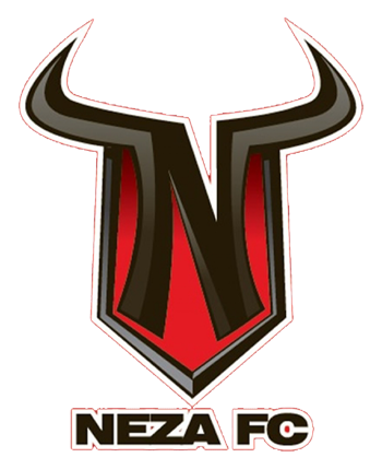 Файл:Neza FC logo.png