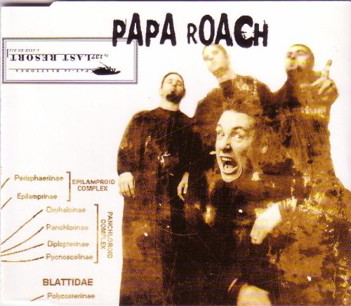 Файл:Last Resort Papa Roach.jpeg